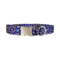 Astrology Symbols Dog Collar - metal silver