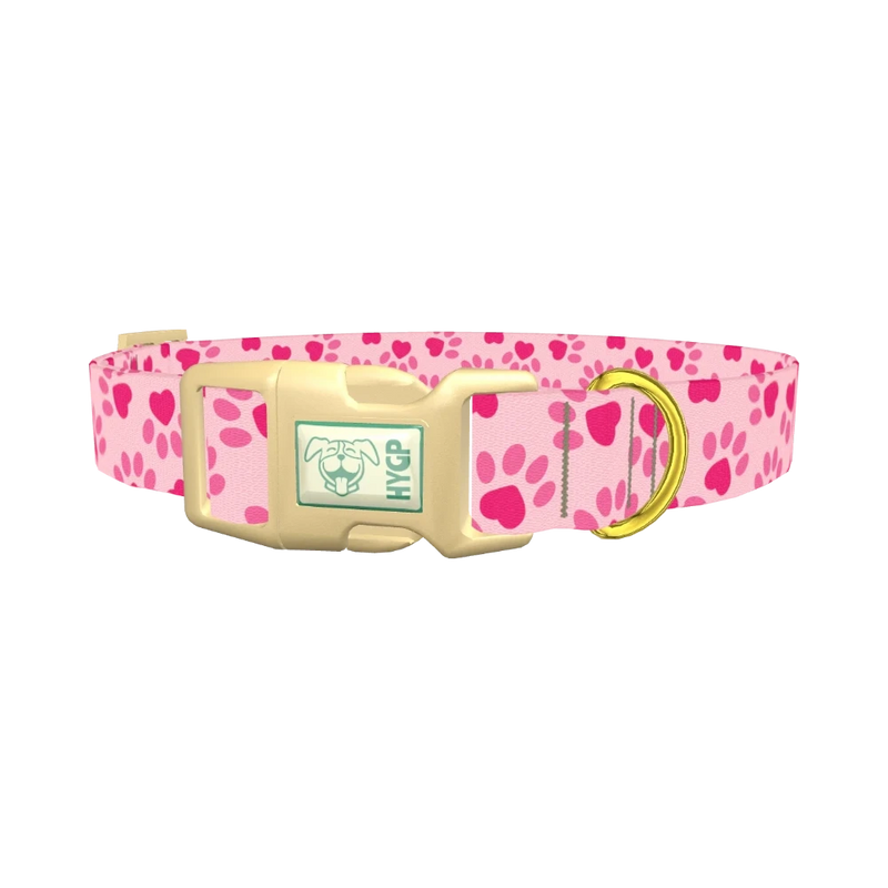 Heart Paw Valentine Dog Collar - plastic gold