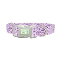 Witchy Magic Elements Dog Collar - plastic silver