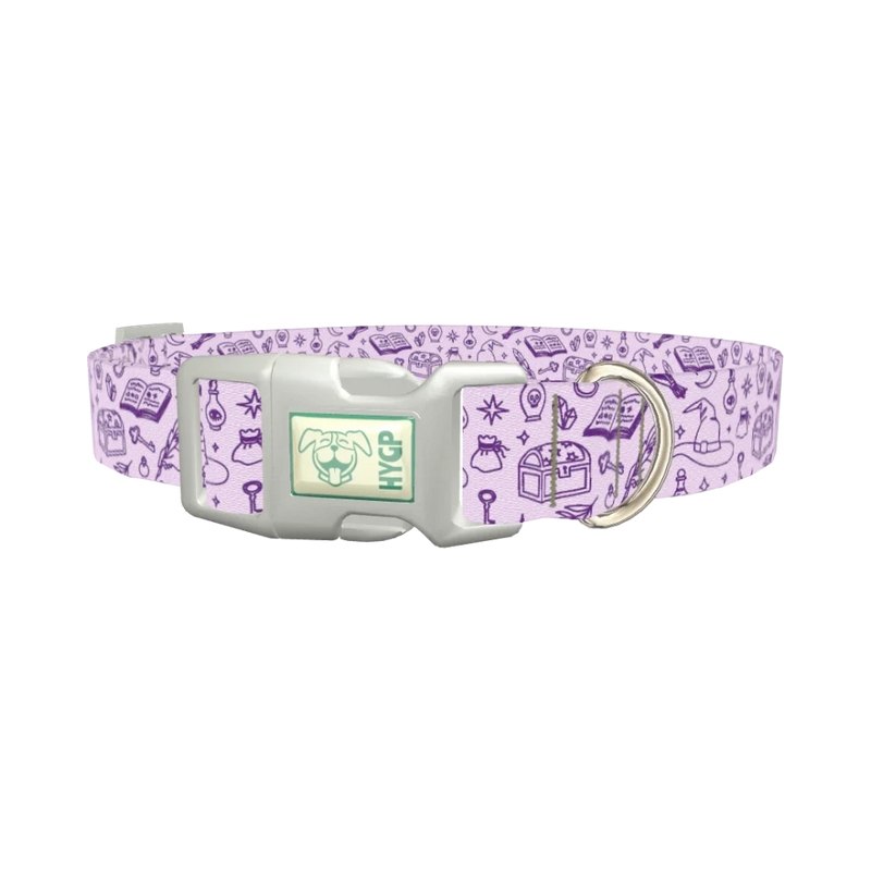 Witchy Magic Elements Dog Collar - plastic silver