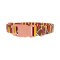 Football Stripe Dog Collar - plastic rose gold