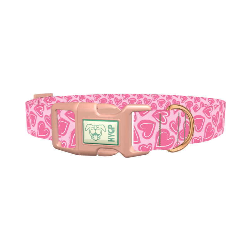 Pink Sketch Heart Dog Collar - plastic rose gold