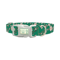 Floral Butterfly Dog Collar - plastic silver