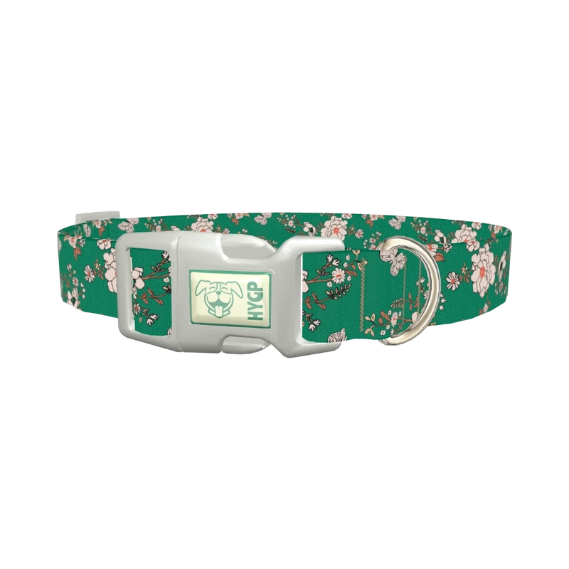 Floral Butterfly Dog Collar - plastic silver