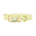 Pastel Polka Dot Pattern Dog Collar - plastic gold