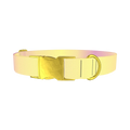 Sunset Gradient Dog Collar - metal gold