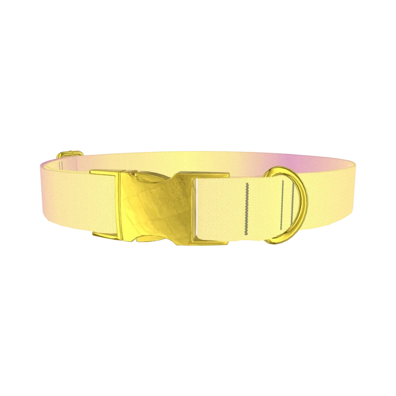 Sunset Gradient Dog Collar - metal gold