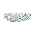 St. Patrick's Day Script Dog Collar - plastic silver