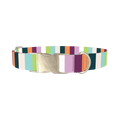 Colorful Stripe Dog Collar - metal silver