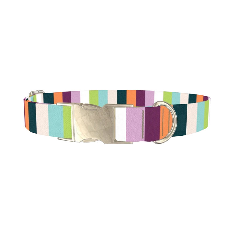 Colorful Stripe Dog Collar - metal silver
