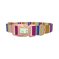 Purple Blue Green Stripes Dog Collar - plastic rose gold