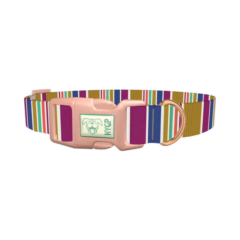 Purple Blue Green Stripes Dog Collar - plastic rose gold