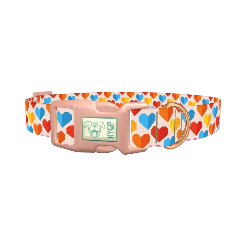Colorful Geometric Heart Dog Collar - plastic rose gold