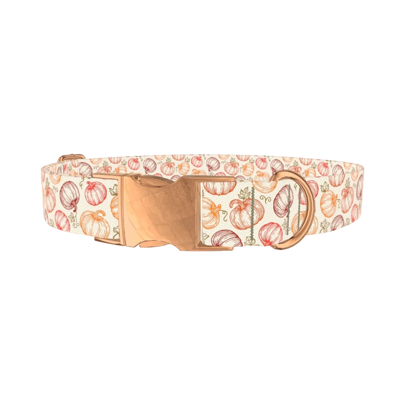 Fall Pumpkin Outline Dog Collar - metal rose gold