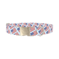 Stars and Stripes Dog Collar - metal silver
