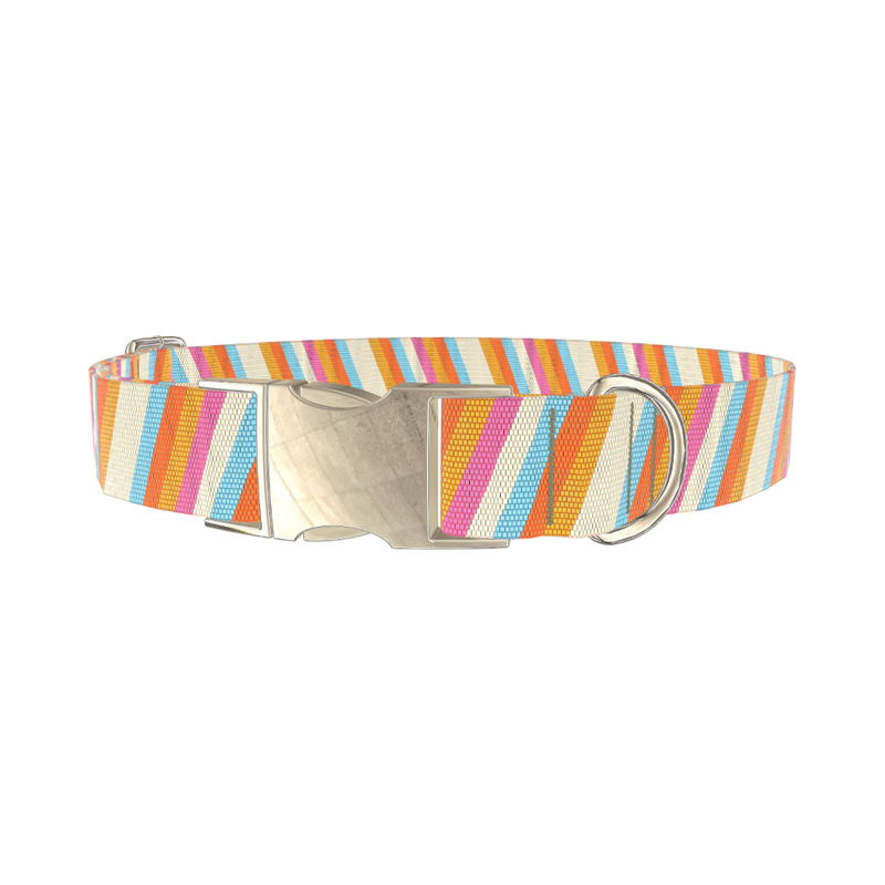 Colorful Diagonal Stripe Dog Collar - metal gold