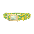 Yellow Duck Pattern Dog Collar - plastic gold