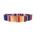 Colorful Mexican Stripe Dog Collar - metal rose gold