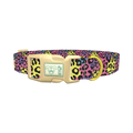 Colorful Leopard Print Dog Collar - plastic gold