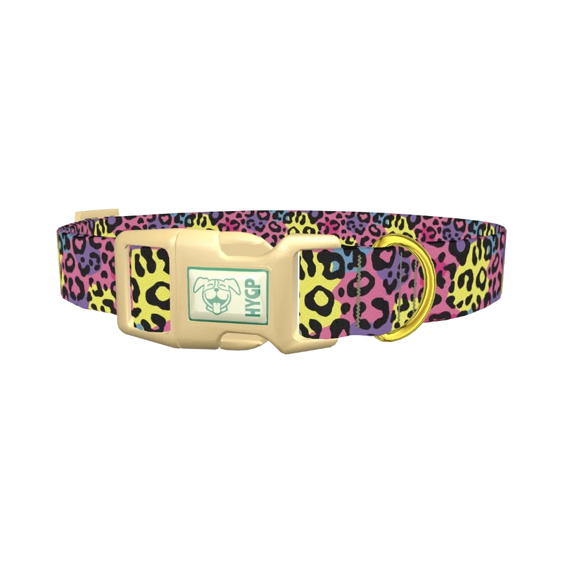 Colorful Leopard Print Dog Collar - plastic gold