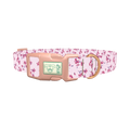 Floral Cherry Blossom Dog Collar - plastic rose gold