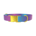 Blue Pink Ombre Dog Collar - metal gold