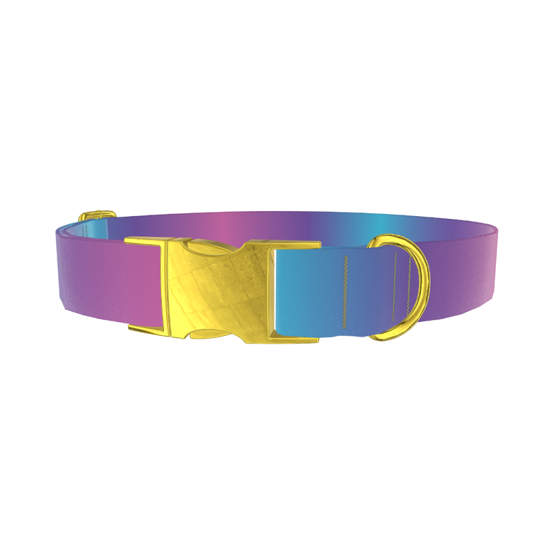 Blue Pink Ombre Dog Collar - metal gold
