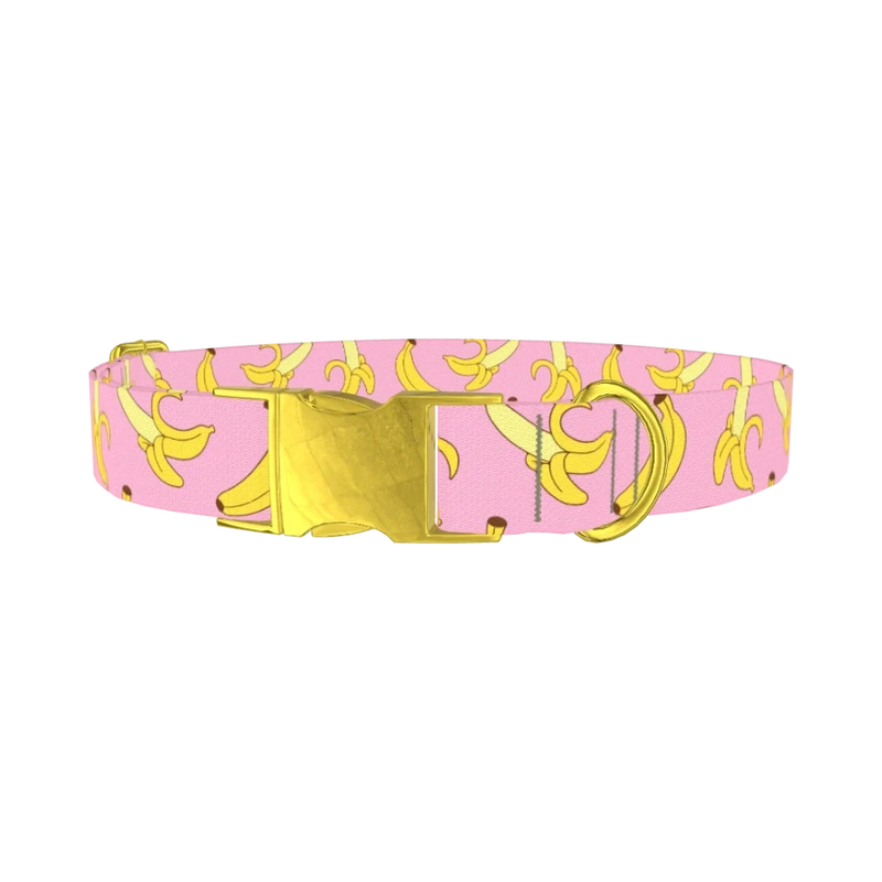 Pink Banana Pattern Dog Collar - metal gold