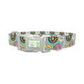 Blue Donut Delight Dog Collar - plastic silver