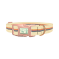 Colorful Hexagon Dog Collar - plastic rose gold