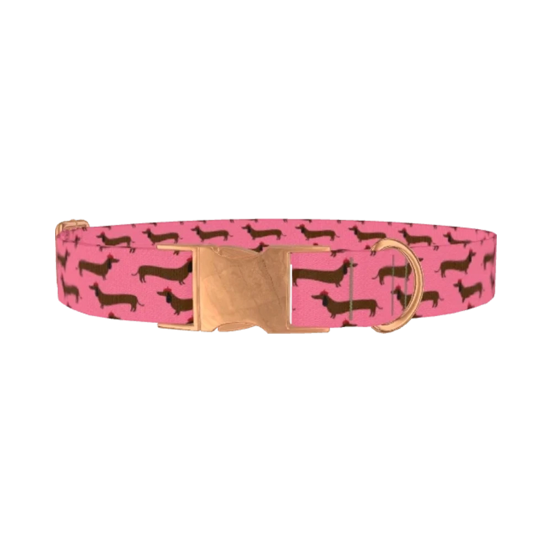 Dachshund Pattern Dog Collar - metal rose gold