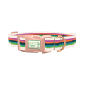 Multicolor Stripe Dog Collar - plastic rose gold