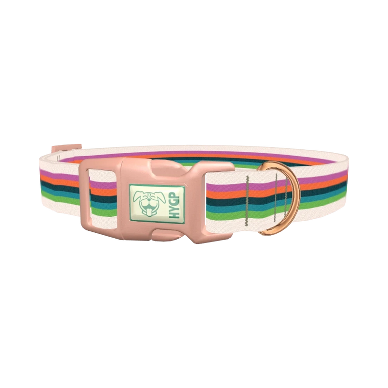 Multicolor Stripe Dog Collar - plastic rose gold