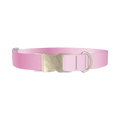 Pink Gradient Dog Collar - metal silver