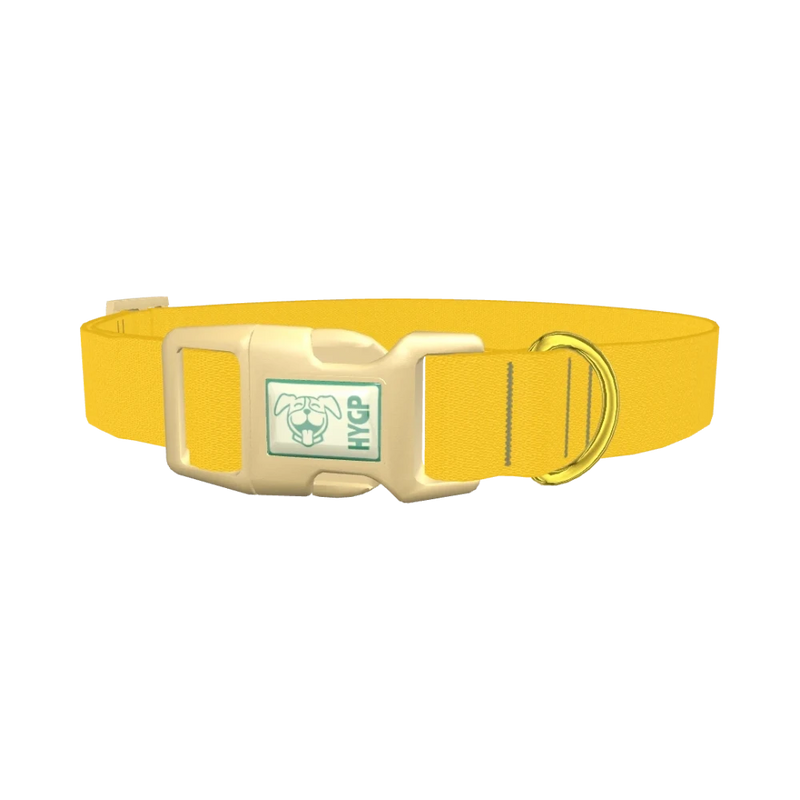 Golden Kiwi Color Dog Collar - plastic gold