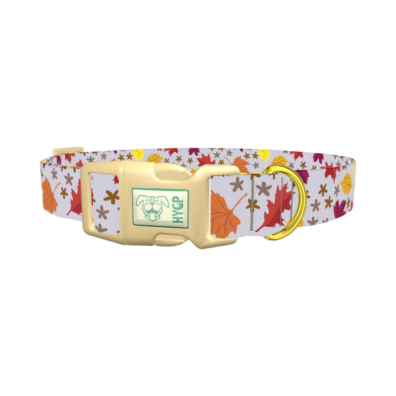 Colorful Fall Leaf Dog Collar - plastic gold