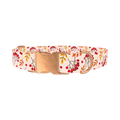 Autumn Rowanberry Dog Collar - metal rose gold