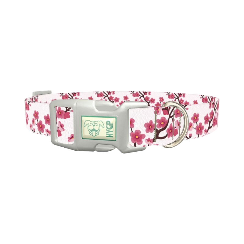 Floral Cherry Blossom Dog Collar - plastic silver