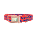 Peace Phrase Dog Collar - plastic gold