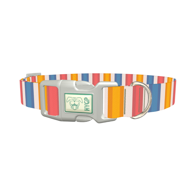 Yellow Pink Blue Striped Dog Collar - plastic silver