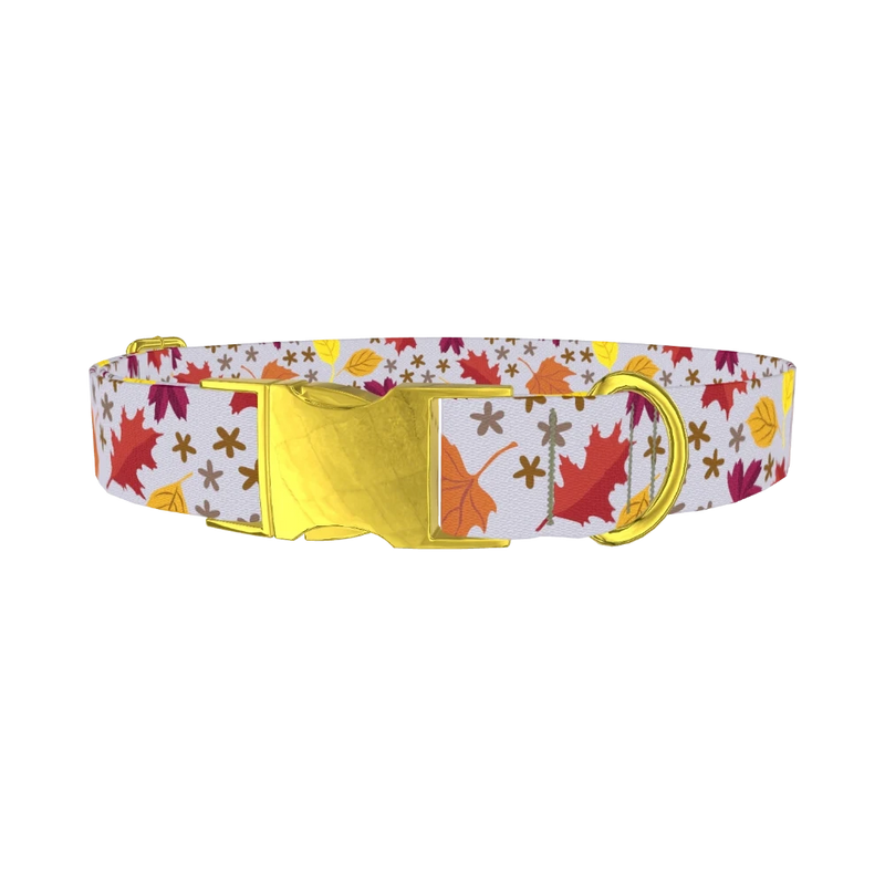Colorful Fall Leaf Dog Collar - metal gold
