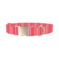 Pink Stripes Dog Collar - metal silver
