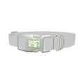 Elemental Color Dog Collar - plastic silver