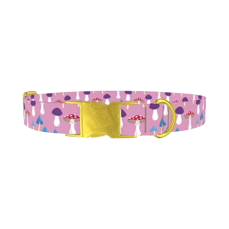 Multicolor Mushroom Dog Collar - metal gold