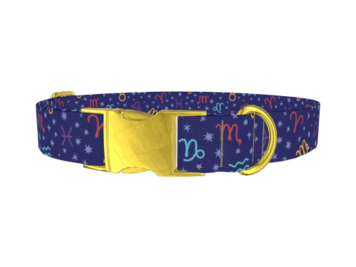 Zodiac4_Multicolor
