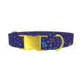 Zodiac Symbol Dog Collar - metal gold