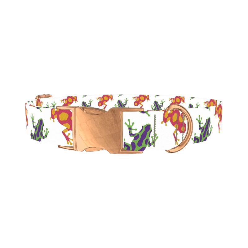 Colorful Frog Pattern Dog Collar - metal rose gold