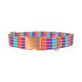 Color Block Stripes Dog Collar - metal rose gold