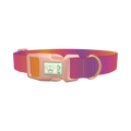 Gradient Pattern Dog Collar - plastic rose gold
