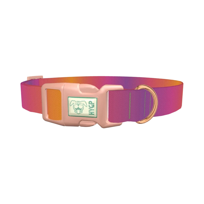 Gradient Pattern Dog Collar - plastic rose gold